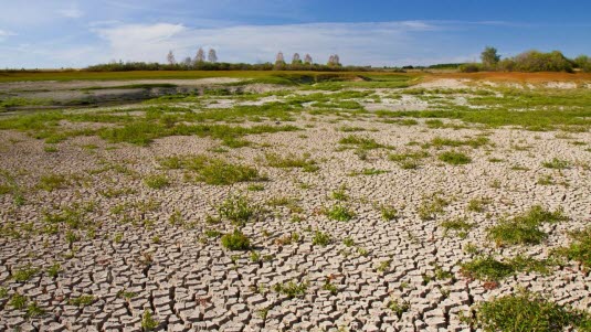 Illustrasjonsfoto: Colourbox