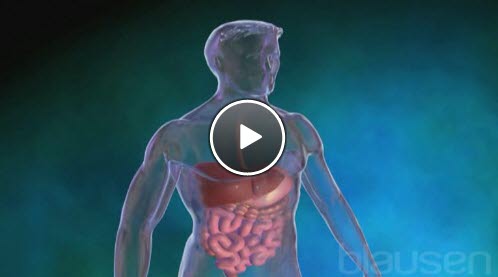 fordøyelsen fordøyelsen