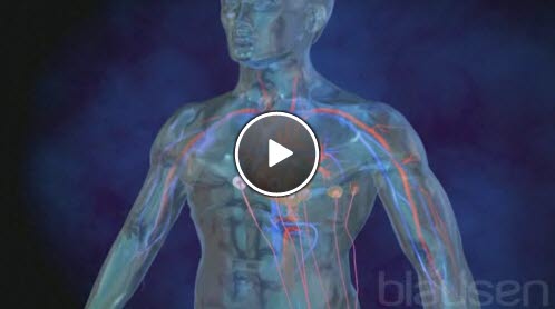 Belastningsekg Belastningsekg