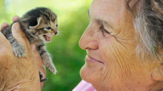 Illustrasjonsfoto: Colourbox