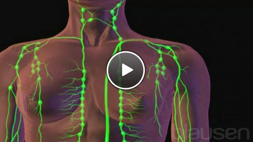 brystkreft brystkreft