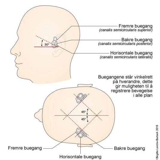 Bilde av buegangene Bilde av buegangene