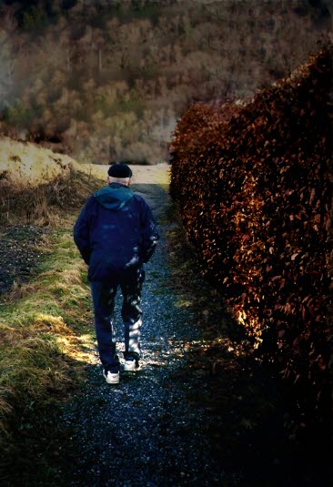 Livets høst Livets høst