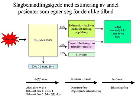 Behandlingskjeden ved hjerneslag